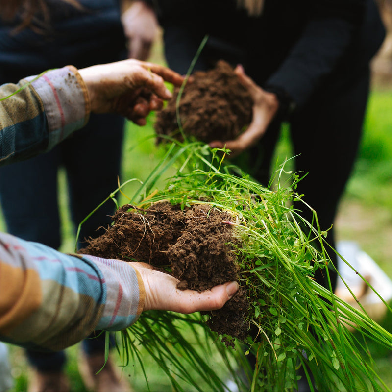 Farm Bill 2023: The future of our food system is in our hands.